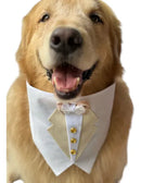 Bandana Pet Smoking para Casamento Tamanho M