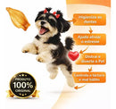 Kit 5 Orelhas Bovinas Naturais para Cães Mordedor Pet Dip Dog