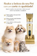 Máquina de Tosa Pet Profissional A8s Ouro Bivolt 127 220v