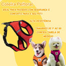 Peitoral com Guia Refletivo para Cães e Gatos Mais Segurança no Passeio