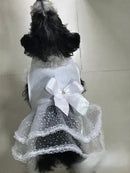 Vestido de Noiva Pet Luxo Tamanho Pequeno com Brinde