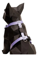 Coleira Peitoral Pet com Guia e Cinto de Segurança para Carro Porte Pequeno