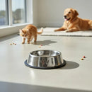 Kit com 2 Comedouros Pet em Inox 550ml para Cães de Porte Médio