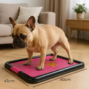 Sanitário Canino 60x43cm com Tapete Higiênico Lavável para Cães