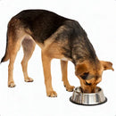 Comedouro e Bebedouro Pet em Inox 900ml para Ração e Água