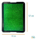 Banheiro Sanitário Canino com Grama Eco Pet para Cães