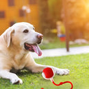 Bolinha Interativa Recarregável USB para Gatos Pet Cor Vermelha