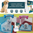 Tapete Higiênico Mb Pet Premium Ultra Absorvente 30 Unidades