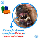 Kit Higiene Bucal Pet Clean Gel Dental Spray Bucal e Escova Tutti Frutti