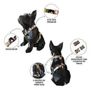 Kit Passeio Pet com Coleira Peitoral Guia e Cinto de Segurança para Carro Porte Pequeno