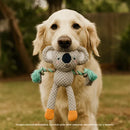 Brinquedo Pet de Pelúcia com Corda Mordedor Coala para Cães