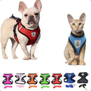 Peitoral Refletivo Preto para Cães com Guia Tamanho P Segurança e Conforto