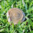 Mordedor Natural para Cães Discão de Couro Bovino Pet Bem