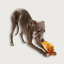 Kit 4 Mordedores Naturais Orelha Bovina para Cães Petisco Natural