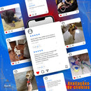 Kit 4 Brinquedos Pet de Corda Resistentes e Interativos para Cachorro Forte