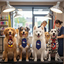 Kit 50 Gravatas Pet Shop Personagens Tamanho M Estampas Variadas