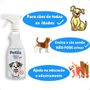 Tapete Higiênico Xixi Dog Lavável com Educador Sanitário Para Pets