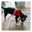 Peitoral Colete Refletivo com Guia para Cachorro Tamanho P Vermelho