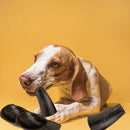 Kit Mordedor Natural para Cães com 2 Cascos de Boi e 2 Chifres Bovinos