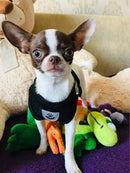 Peitoral Colete Refletivo com Guia para Cachorro Tamanho M Preto