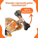 Kit 10 Mordedores Naturais Orelha Bovina com 2 Ossos Fêmur para Pets