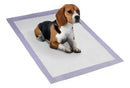 Kit 2 Tapetes Higiênicos Ultra Pad 60 Unidades 80x60cm Lavanda para Cães