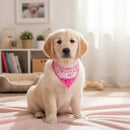 Kit Bandanas e Laços Pet Outubro Rosa Tamanho M Acessórios Temáticos