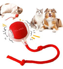 Bolinha Interativa Recarregável USB para Gatos Pet Cor Vermelha