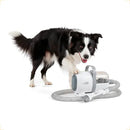 Aspirador Pet Premium Silencioso para Tosa e Escova de Pelagem Grossa