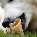 Pacote Traqueia Bovina Natural Kit com 12 Mordedores para Cachorros