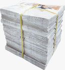 Jornal Higiênico para Pets e Gatos Kit com 6 Pacotes 50 Folhas Cada