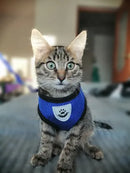 Peitoral Colete Refletivo com Guia para Cachorro Tamanho G Azul