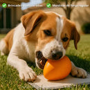 Brinquedo Interativo Ovo Maluco para Cães de Grande Porte Cor Laranja