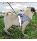 Peitoral com Guia Refletivo para Gatos Tamanho G Preto Super Conforto