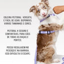 Coleira Peitoral Pet com Guia e Cinto de Segurança para Carro Porte Pequeno
