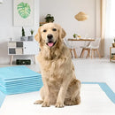 Tapete Higiênico Pet Training Pads para Cães 90x60cm 60 Unidades