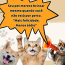 Bolinha Pet Recarregável com Luz e 3 Modos para Cães e Gatos