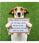 Tapete de Grama Sintética Higiênica Atóxica para Cães e Gatos Verde