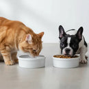 Kit com 2 Comedouros e Bebedouros em Porcelana 300ml para Cães Pequenos