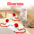 Bolinha Interativa Recarregável USB para Gatos Pet Cor Vermelha
