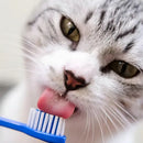 Kit Saúde Oral Virbac C E T com Pasta Escova e Necessaire Sabor Frango