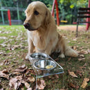 Comedouro Pet Elevado em Acrílico com 2 Tigelas Inox para Cães e Gatos