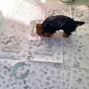 Jornal Higiênico Pet 4kg com 240 Folhas Grandes 58x65