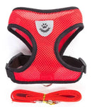 Peitoral com Guia para Gatos Tamanho P Vermelho Conforto e Segurança