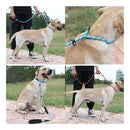 Guia Unificada com Enforcador Bacon Born 1,4m para Adestramento Rosa