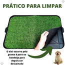 Banheiro Sanitário Canino com Grama Eco Pet para Cães
