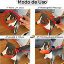 Guia Unificada Educativa 1,5 Metros Jamil Pet para Adestramento Vermelho