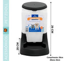 Kit Comedouro e Bebedouro Automático Pet 3L Pequeno Cor Preto