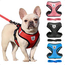 Peitoral Refletivo Preto para Cães com Guia Tamanho P Segurança e Conforto