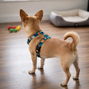 Kit Passeio Pet com Coleira Peitoral Guia e Cinto de Segurança para Carro Porte Pequeno